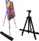 Art Painting Artist Easel Stand, Metal Tripod Adjustable Easels for Painting Canvases Height from 17 to 66 Inch,Carry Bag for Table-Top/Floor Drawing and Displaying,Black 1-Pack.